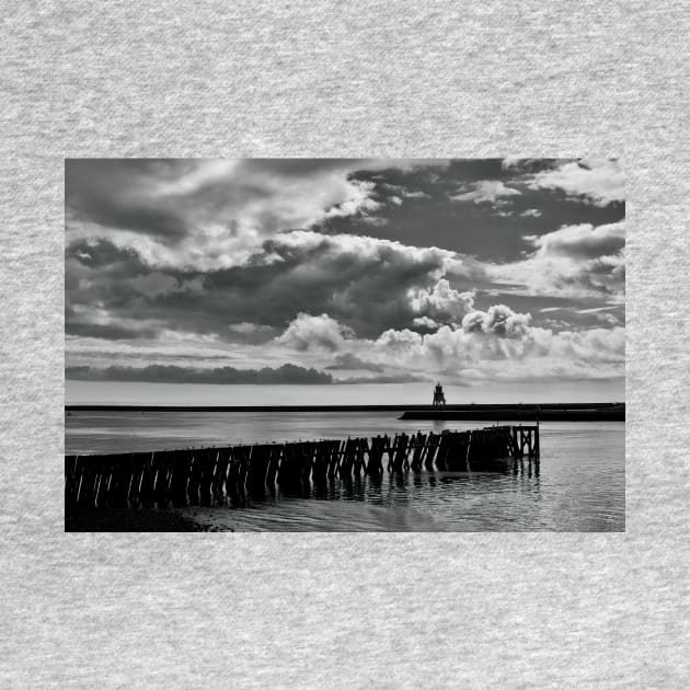 River Tyne in black and white by Violaman